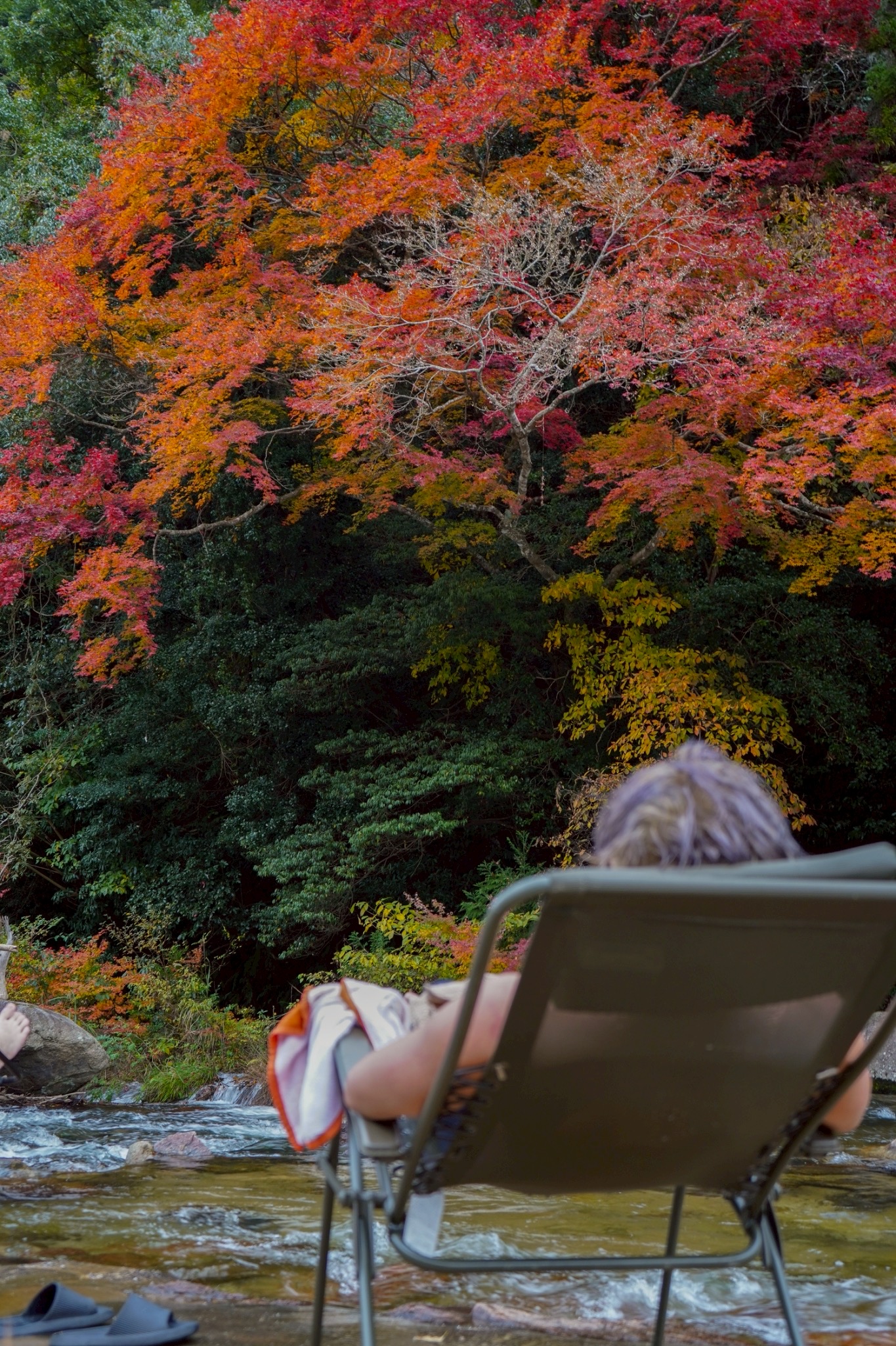 自然に囲まれたFUKUP BASEの外観